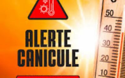 ALERTE CANICULE !